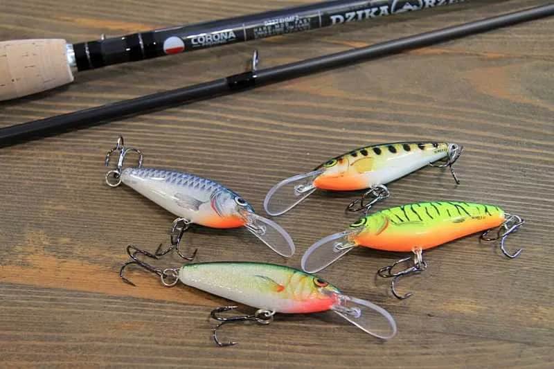 Najskuteczniejsze przynęty na brzany, które naprawdę działają w wędkarstwie