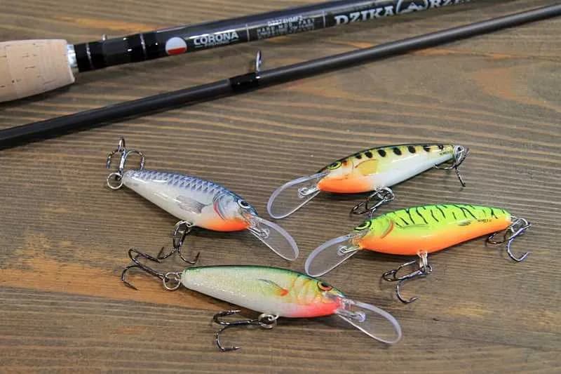 Najskuteczniejsze przynęty na brzany, które naprawdę działają w wędkarstwie