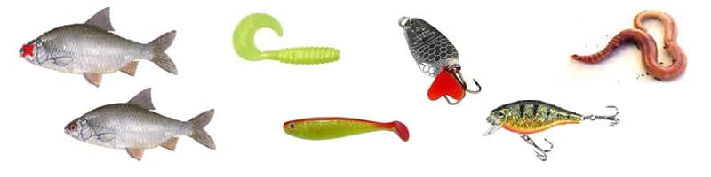 Najlepsza przynęta na suma – skuteczne sposoby na udane łowienie