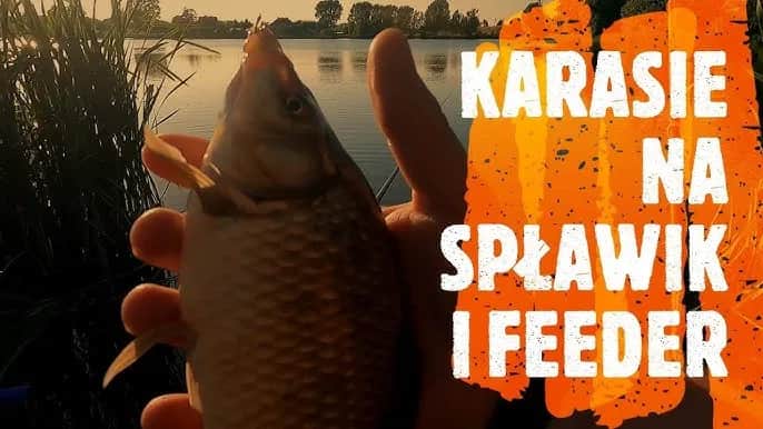 Jak łowić karasie na spławik - sprawdzone techniki i przynęty