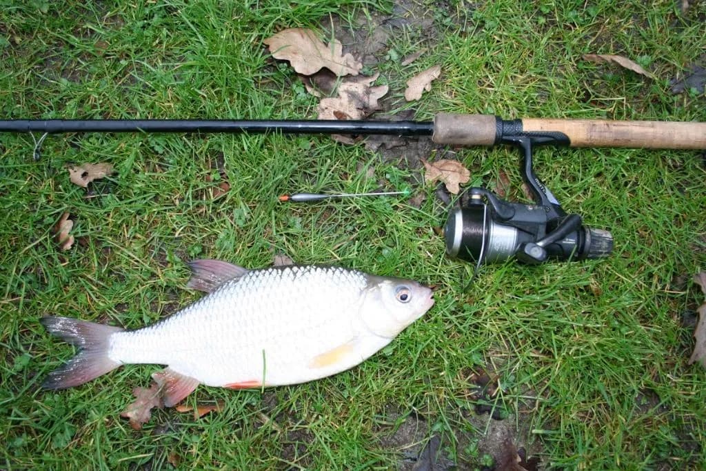 Jak wybrać idealny spławik na płoć w różnych warunkach wodnych