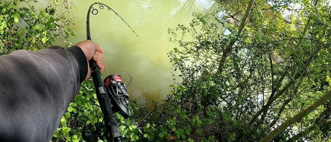 Jaka wędka uniwersalna? Odkryj najlepsze modele do różnych technik Jaka wędka uniwersalna? Odkryj najlepsze modele do różnych technik