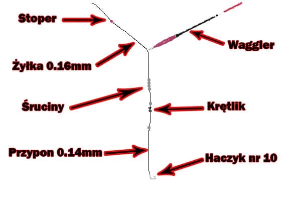 Jaki spławik na leszcza? Sprawdź, by nie stracić ryby!