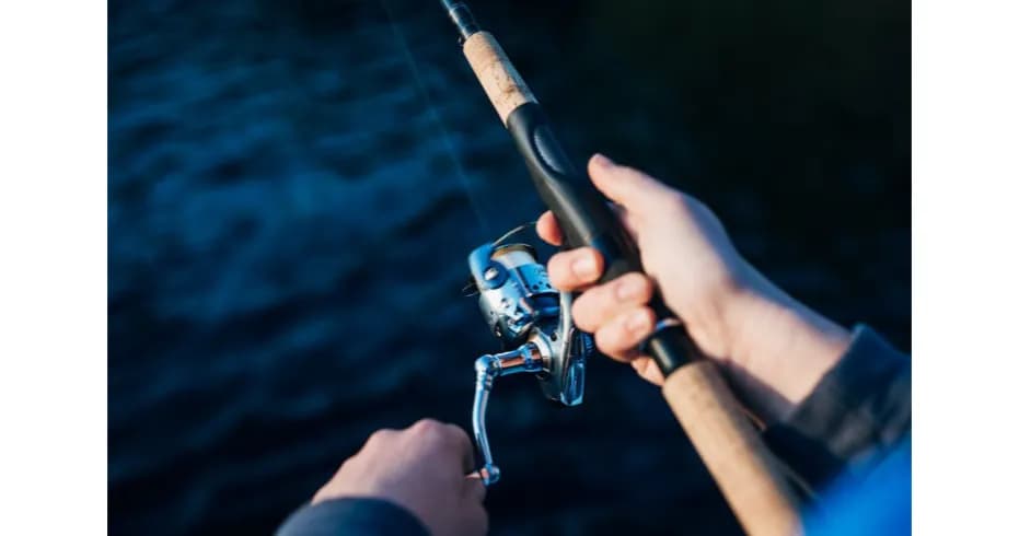 Wędka feeder co to jest i jak wykorzystać ją w wędkarstwie?