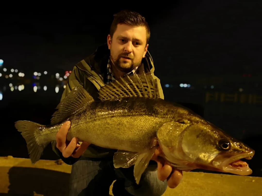 Przynęty twistery: skuteczne w łowieniu szczupaka i sandacza