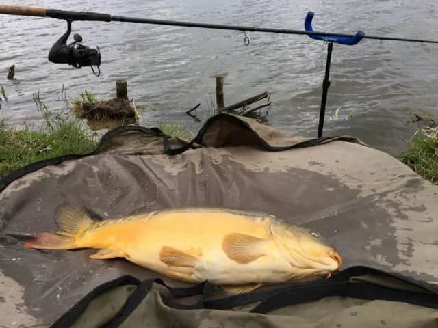 Wędka picker do czego? Odkryj skuteczne techniki wędkarskie