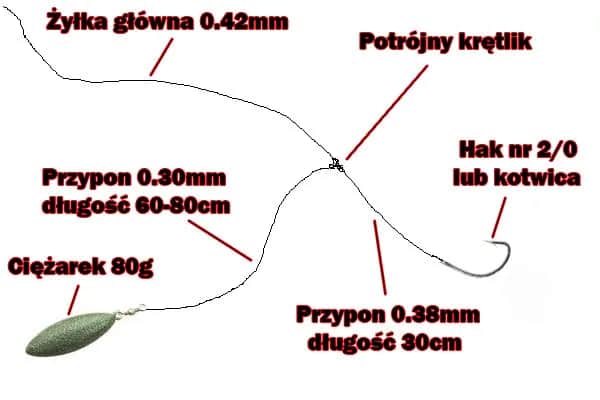 Jaką wędkę na suma z gruntu wybrać, by nie stracić ryby?