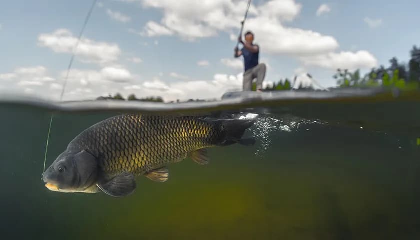 Wędka castingowa do czego służy? Odkryj jej zalety i zastosowania