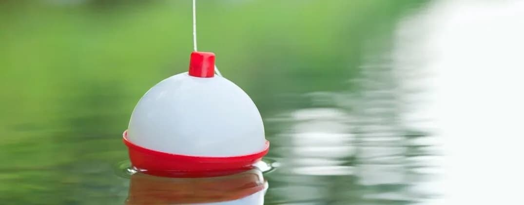 Wędka spławikowa jaką wybrać - uniknij najczęstszych błędów przy wyborze