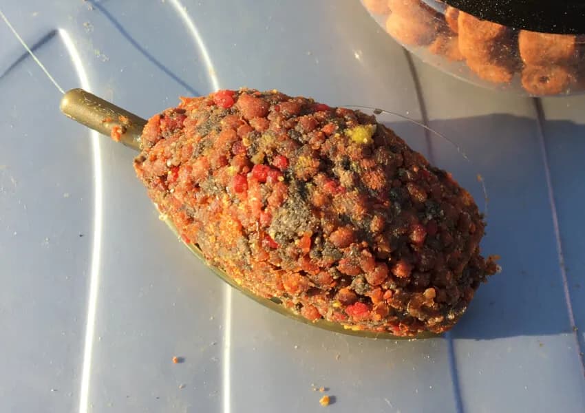 Jaką wędkę na feeder wybrać, aby uniknąć nieudanych połowów?