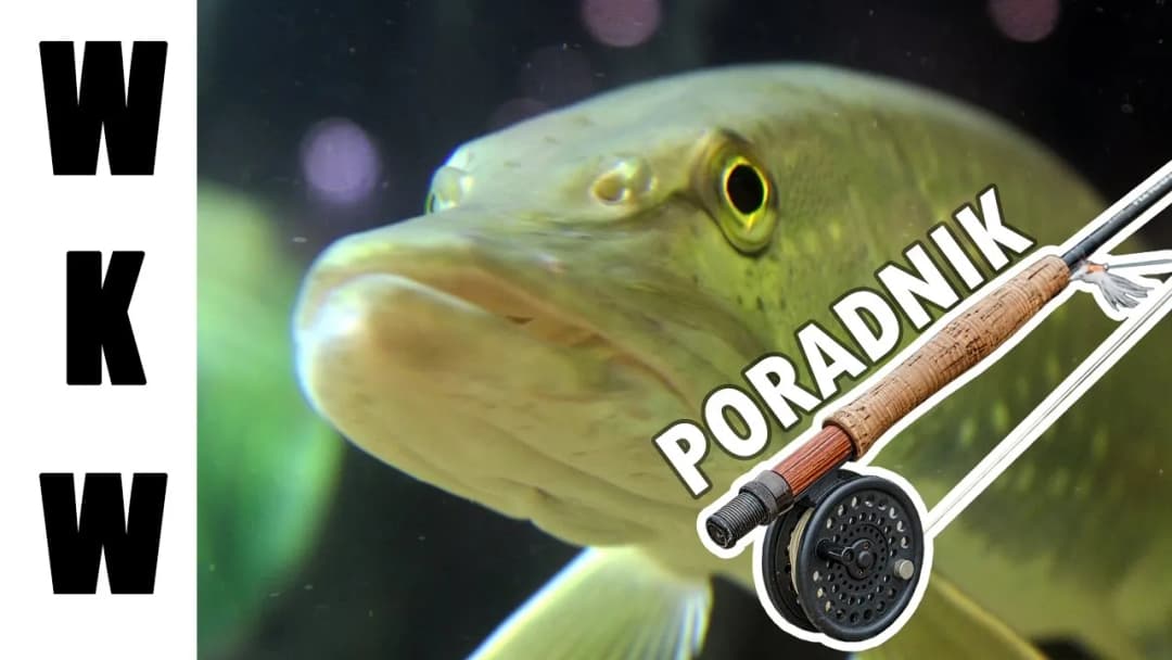 Jaka wędka muchowa na początek, aby uniknąć frustracji i złowić ryby?