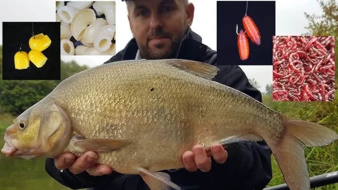 Jak założyć rosówkę na haczyk, aby zwiększyć szanse na ryby