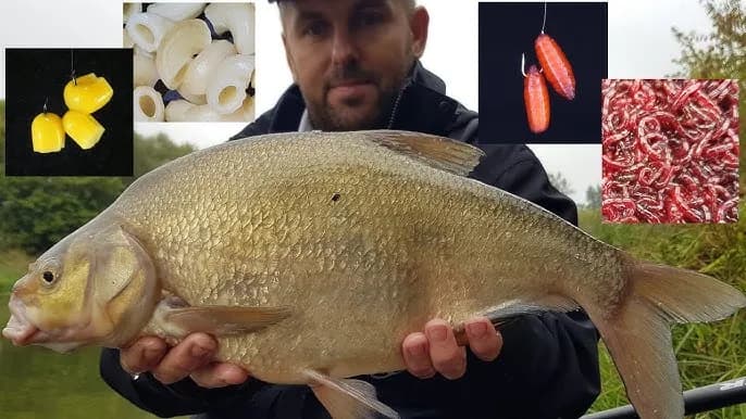 Jak założyć rosówkę na haczyk, aby zwiększyć szanse na ryby