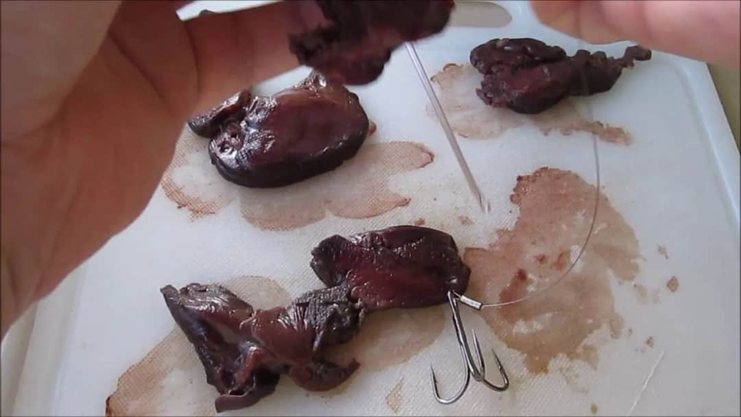 Jak założyć wątróbkę na haczyk, aby nie stracić ryby przy łowieniu