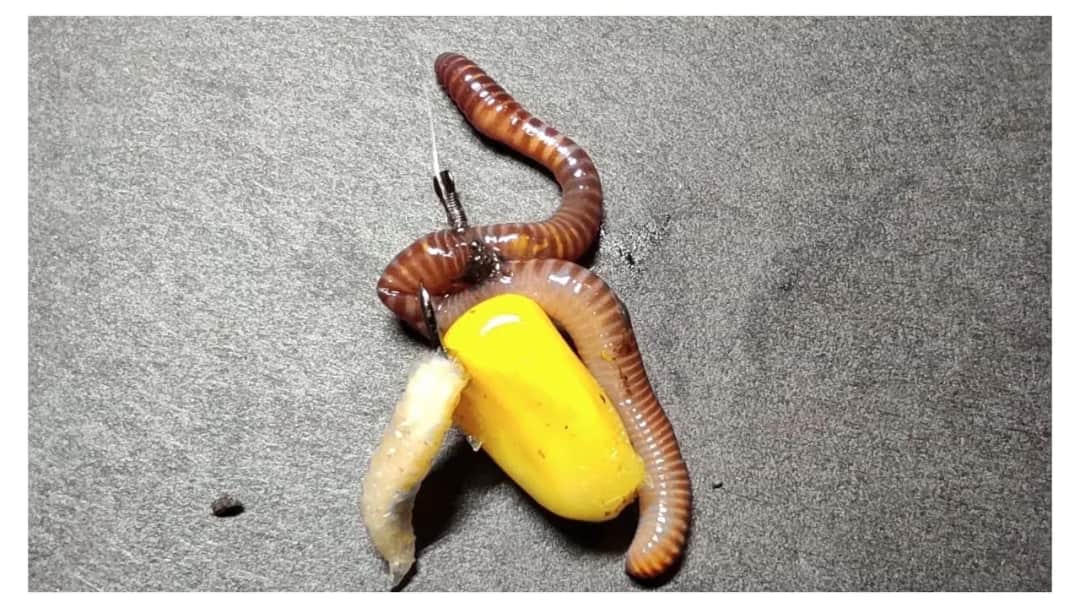 Jaki haczyk na lina? Odkryj najlepsze rozmiary i typy haczyków