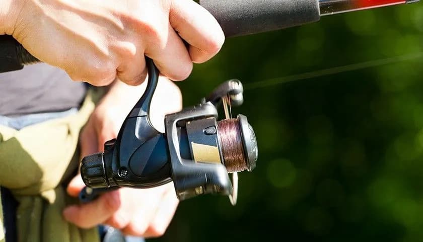 żyłka czy plecionka na spławik – co wybrać, aby nie żałować?