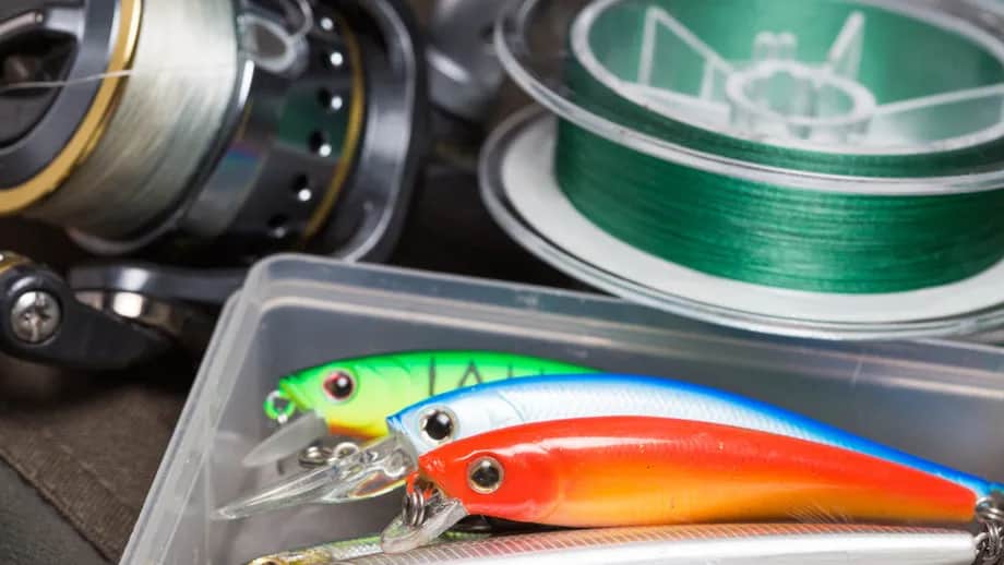 Jaka plecionka na grunt? Wybierz najlepszą do skutecznego łowienia