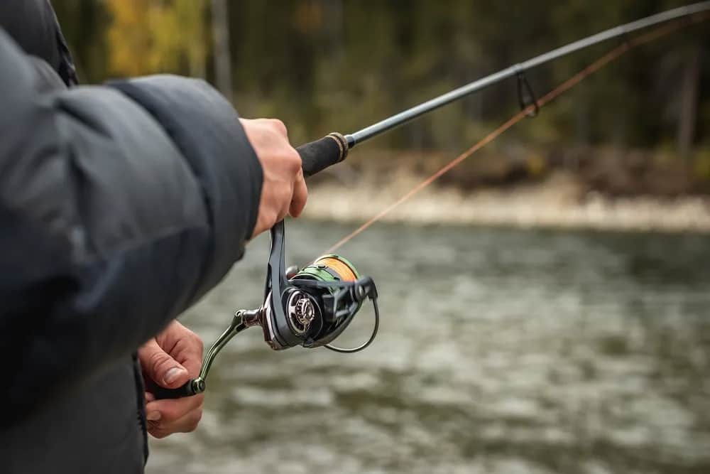 Jaką wędkę do klasycznego feedera wybrać, by nie żałować?