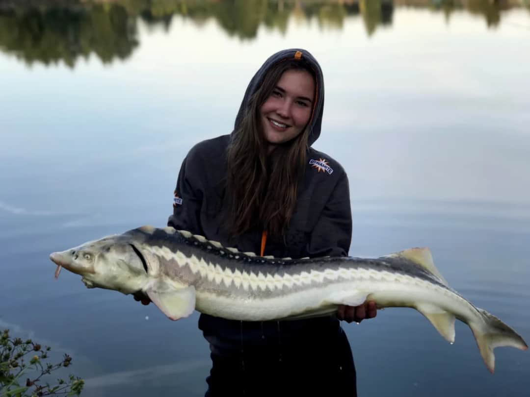 Skuteczna przynęta na jesiotra – uniknij błędów i złów więcej ryb