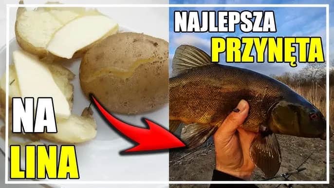 Skuteczne domowe przynęty na ryby - tanie przepisy, które działają