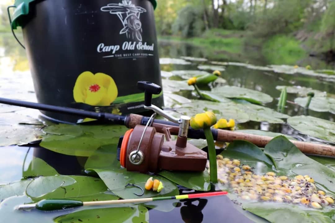 Jaki spławik na karpia wybrać, aby uniknąć nieudanych połowów?