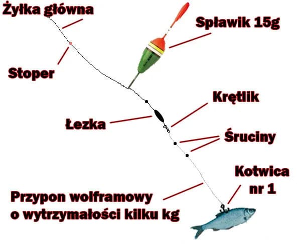 Wędki matchowe do czego - skuteczne metody łowienia ryb spokojnego żeru