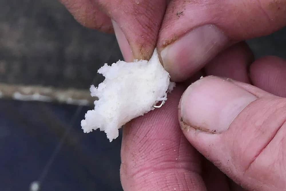 Jak założyć chleb na haczyk, aby nie spadł podczas łowienia