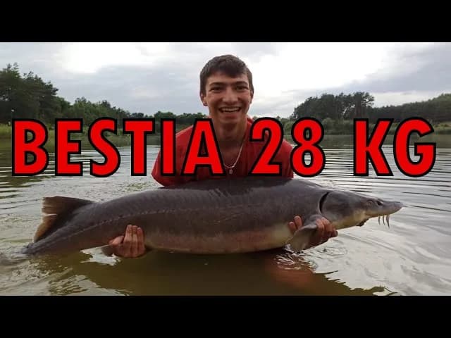 Jakie haczyki na jesiotra wybrać, aby uniknąć nieudanych połowów?