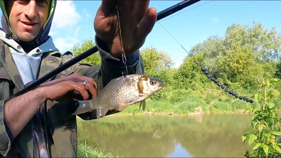 Jak założyć żywca na haczyk – skuteczne techniki i porady wędkarskie