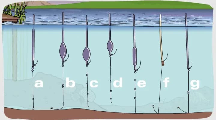 Jak dobrać obciążenie do spławika, by zwiększyć skuteczność połowu