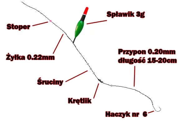 Jak przygotować wędkę na grunt, aby złapać więcej ryb niż kiedykolwiek