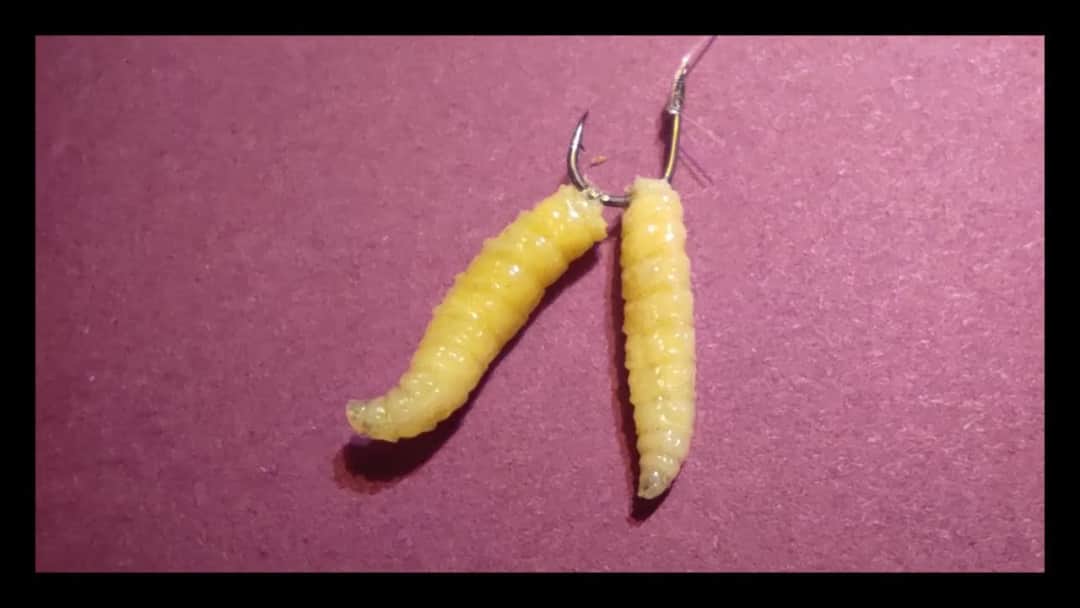 Jak zakładać robaka na haczyk, aby zwiększyć skuteczność wędkowania