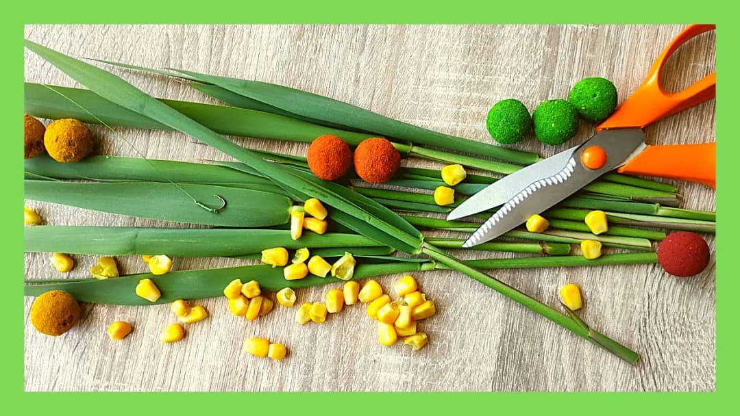 Jaki haczyk na amura - wybierz idealny rozmiar i typ haczyka